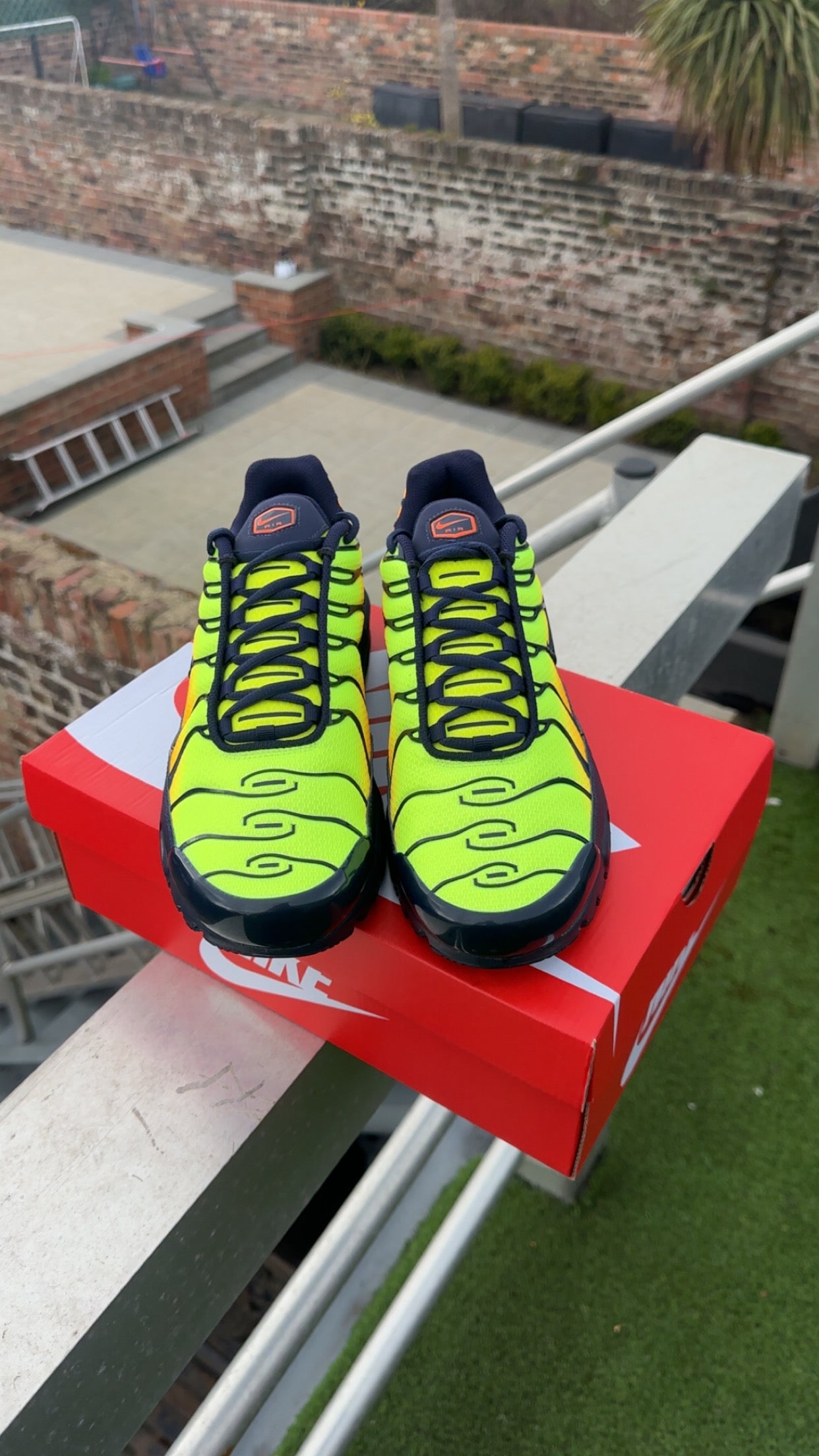 Nike air max plus lemon venom
