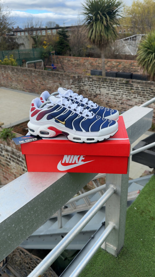 Nike air max plus psg collab