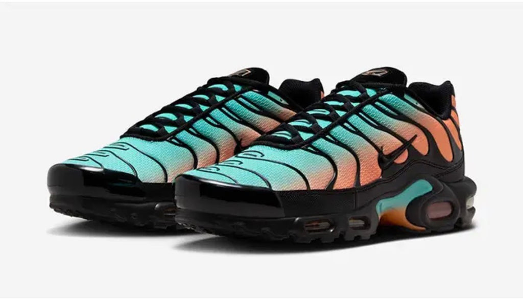 Nike air max plus "south beach"