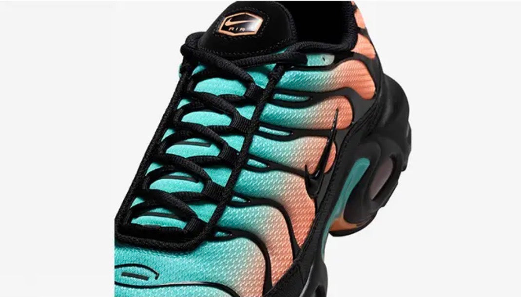 Nike air max plus "south beach"