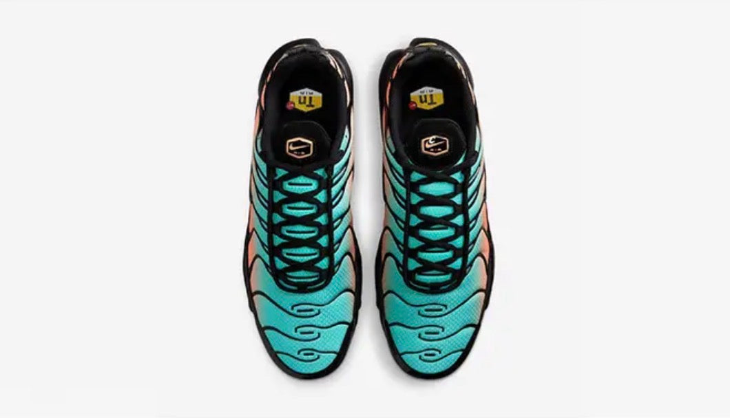 Nike air max plus "south beach"