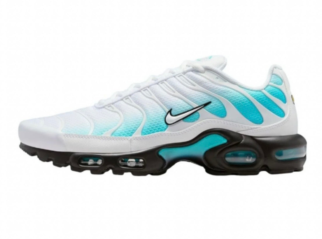 Nike air max plus "Frost bite"