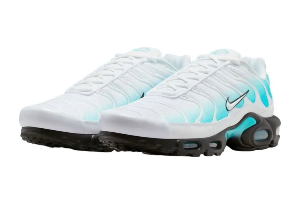 Nike air max plus "Frost bite"