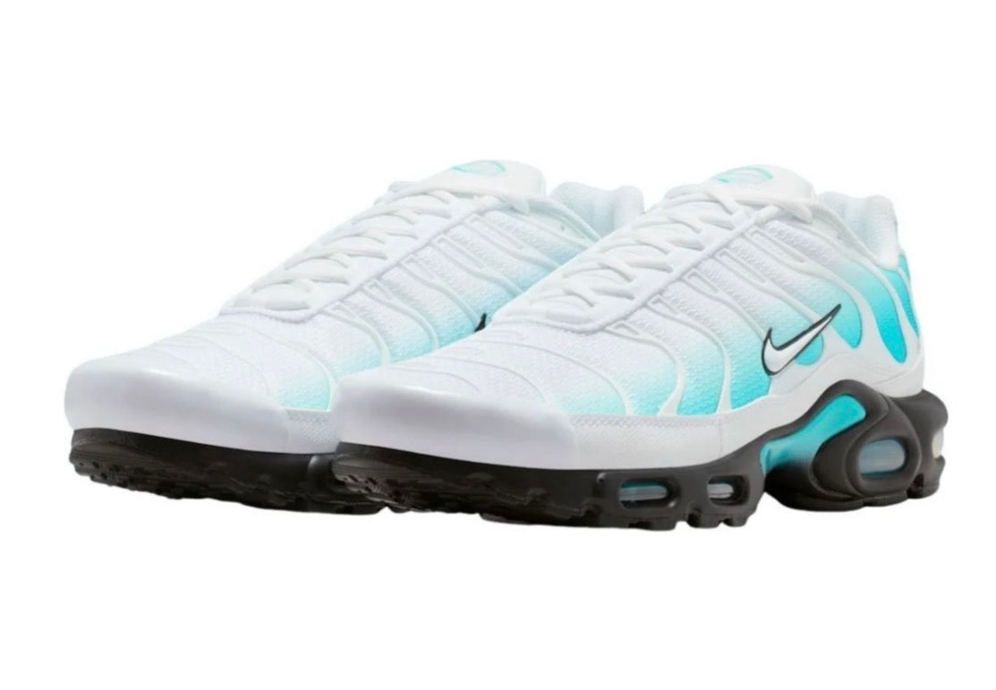 Nike air max plus "Frost bite"