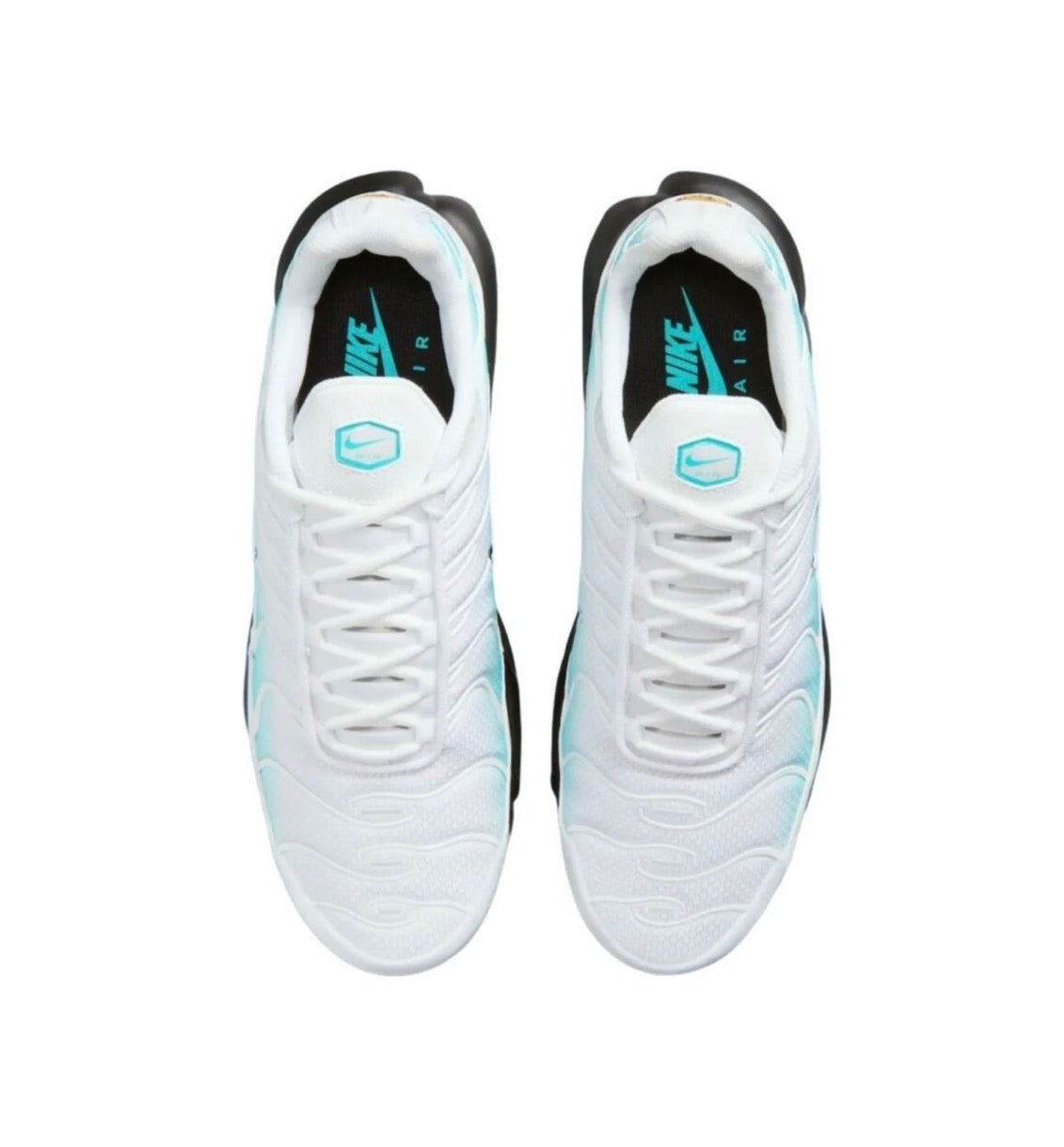 Nike air max plus "Frost bite"