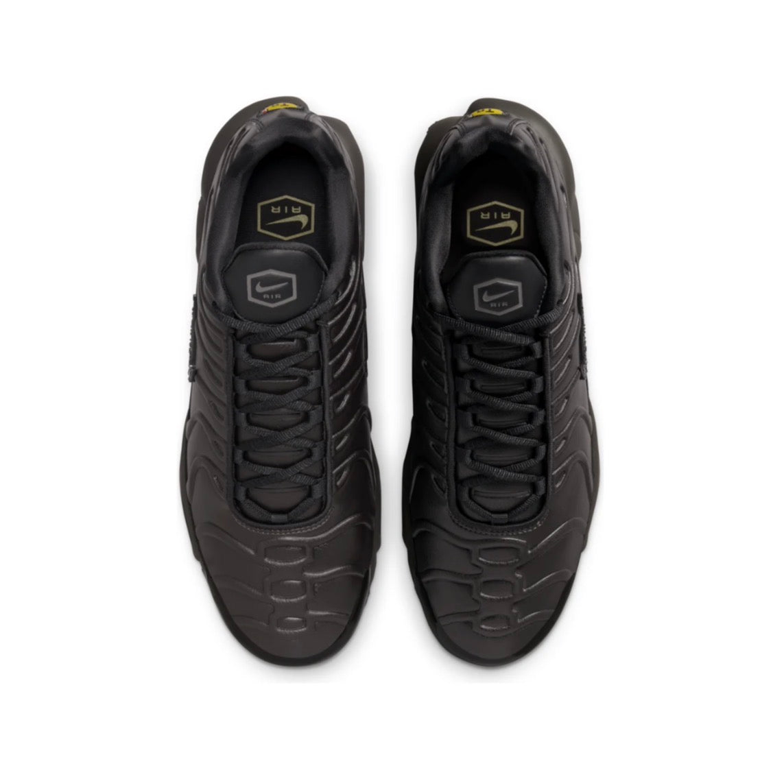 Nike air max plus "Black tea Petra brown"