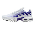 Nike air max plus "Wild grape"