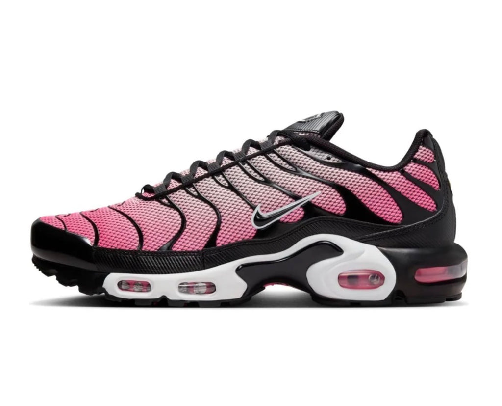 Nike air max plus "All day"