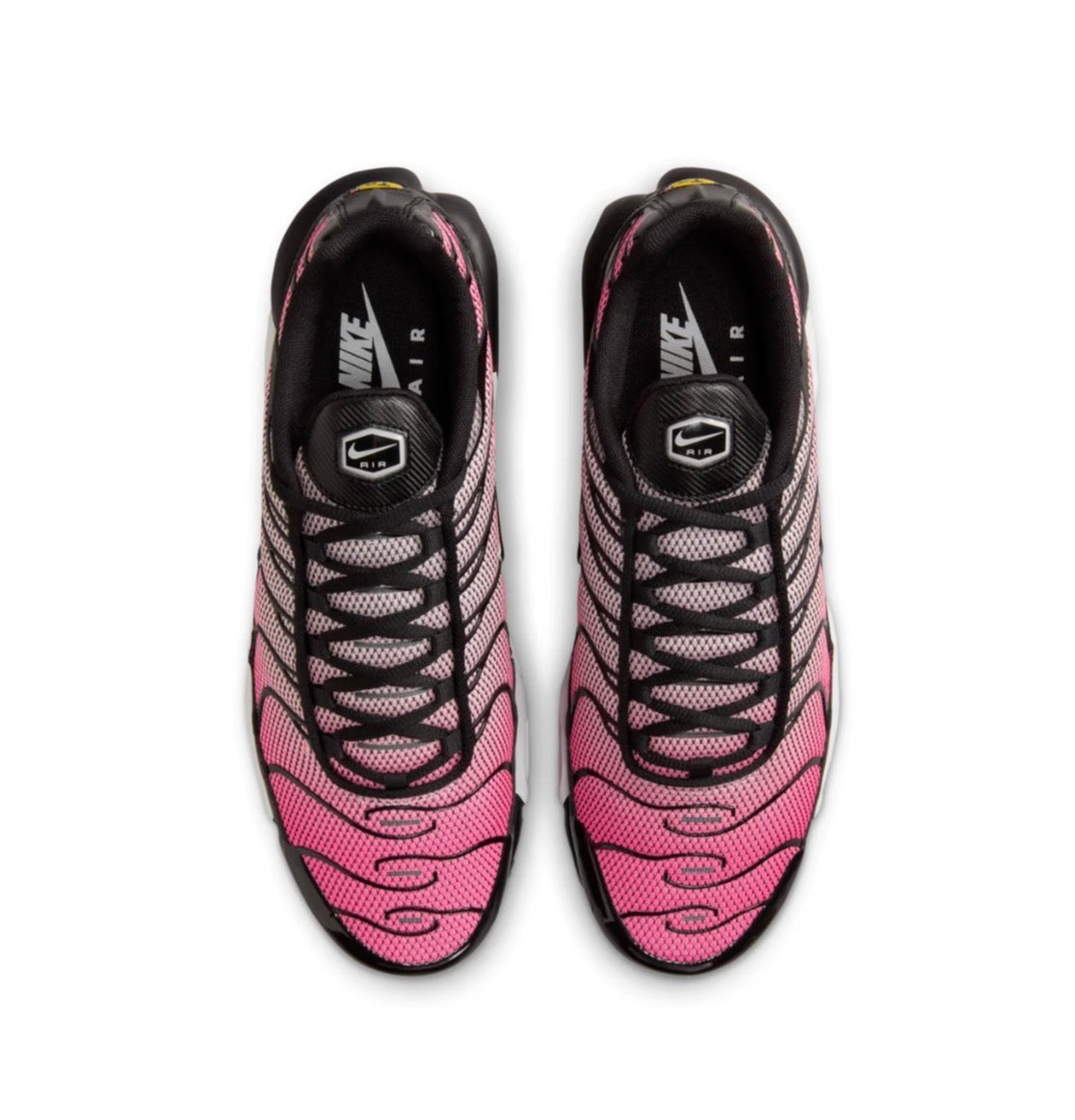 Nike air max plus "All day"