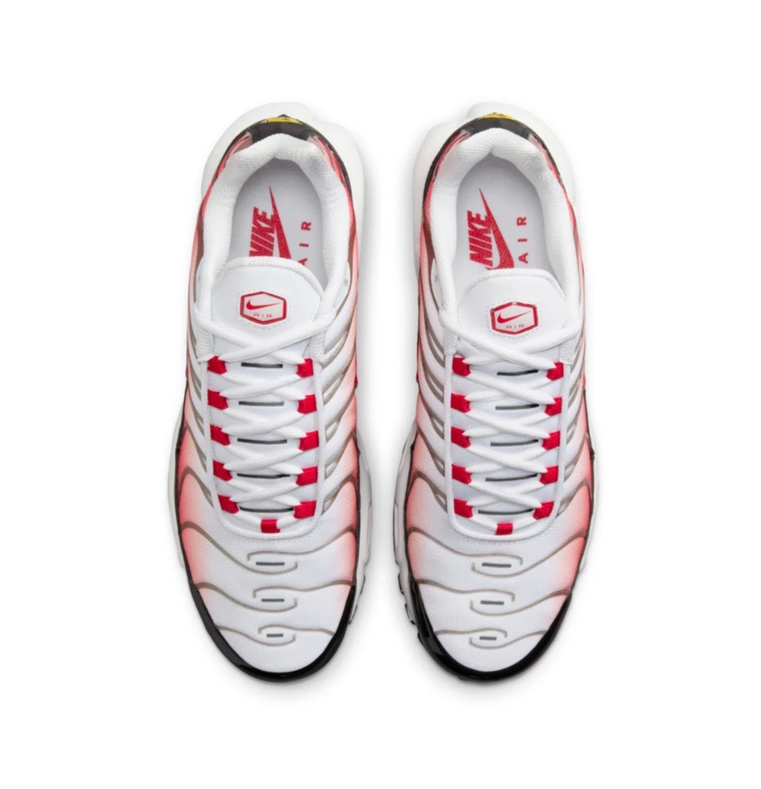 Nike air max plus "Gym red"