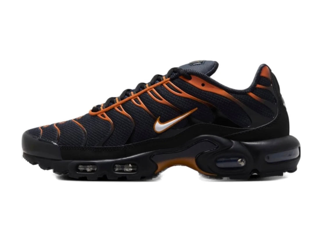 Nike air max plus "Dark obsidian monarch"