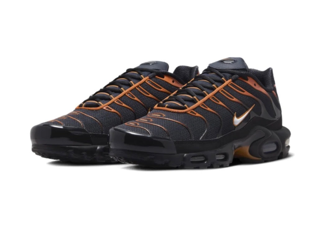 Nike air max plus "Dark obsidian monarch"