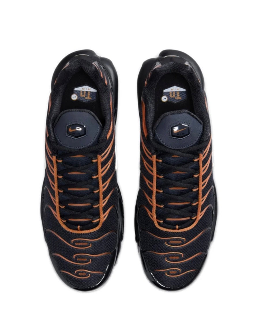 Nike air max plus "Dark obsidian monarch"