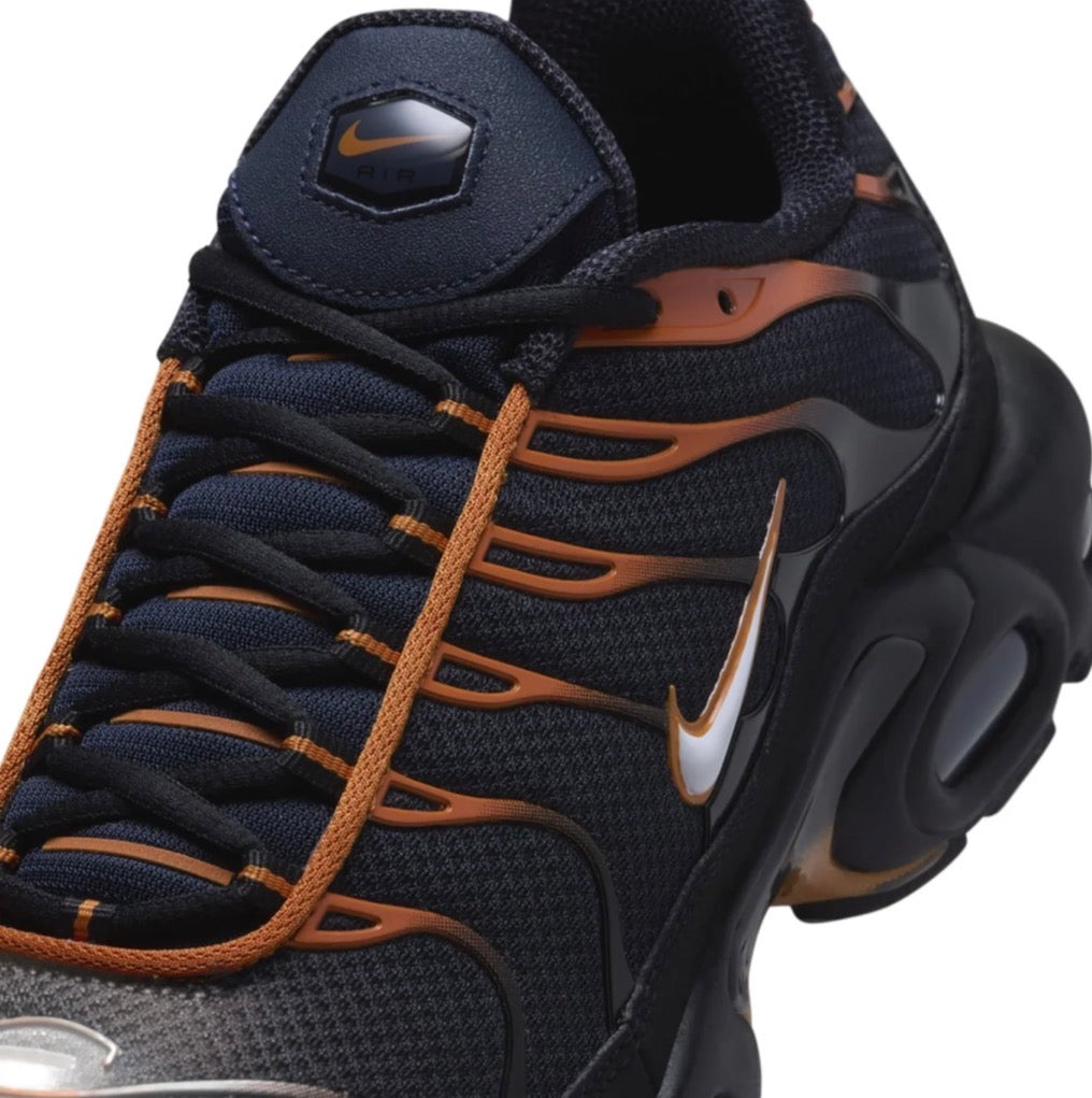 Nike air max plus "Dark obsidian monarch"