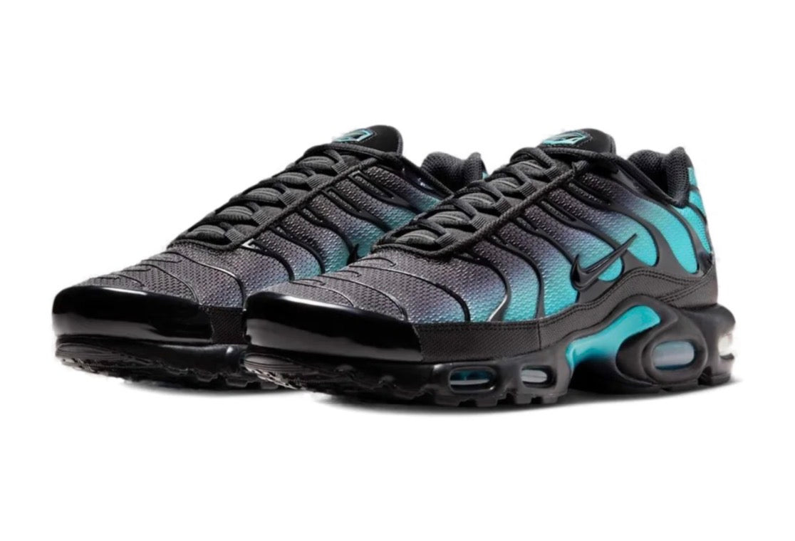 Nike air max plus "Black dusty cactus"