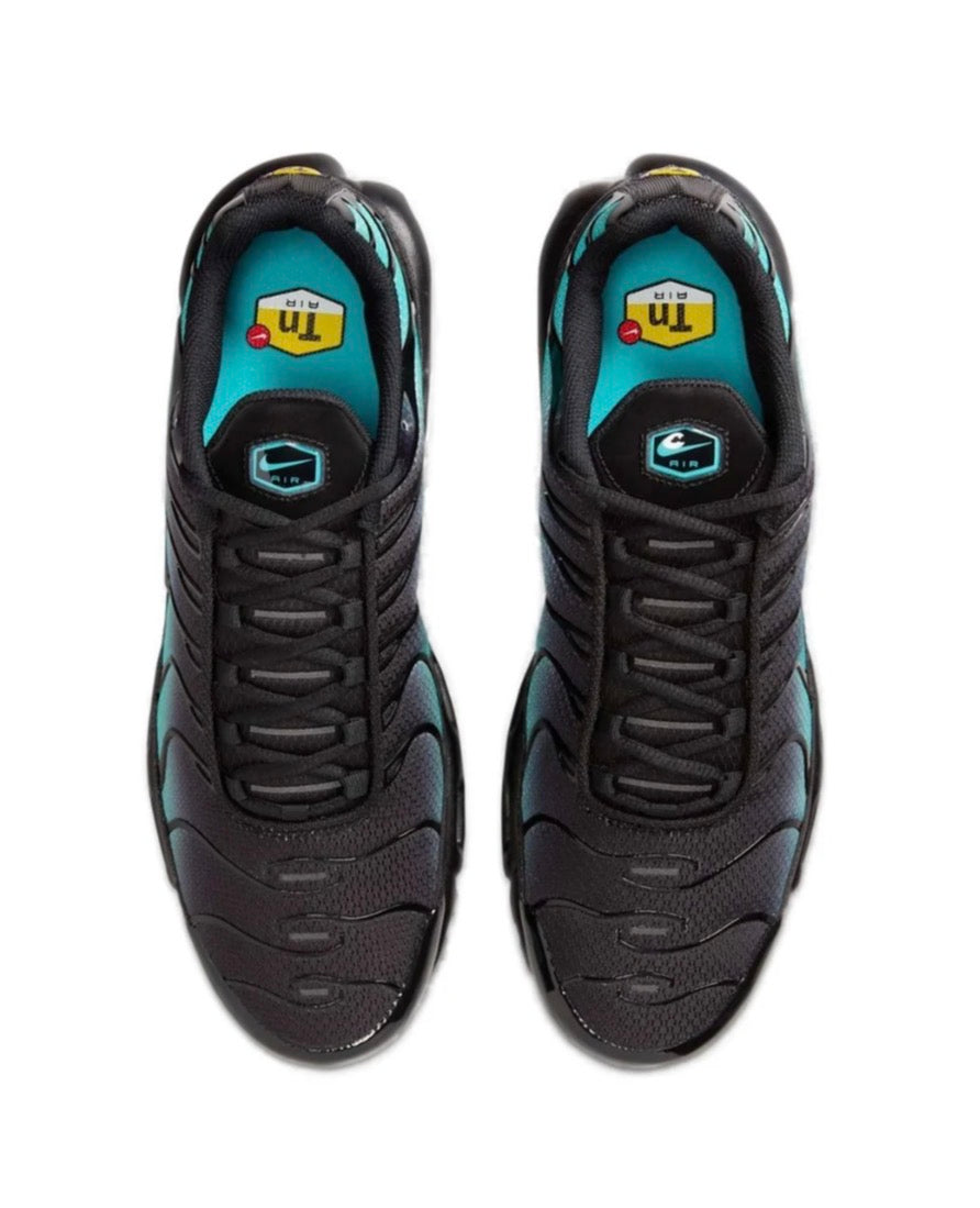 Nike air max plus "Black dusty cactus"